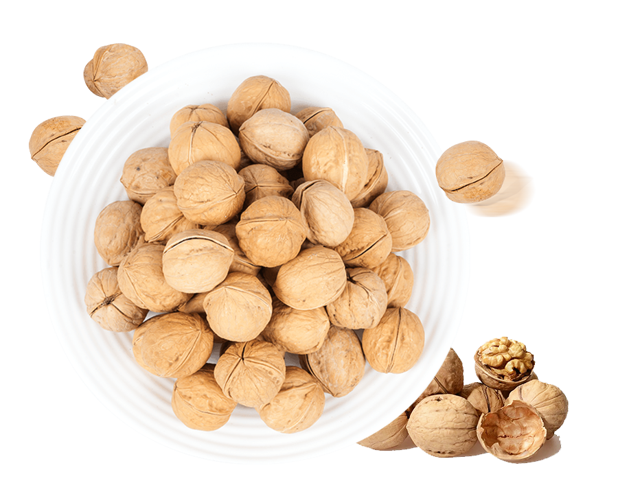 گردو کاغذ طعم شیری