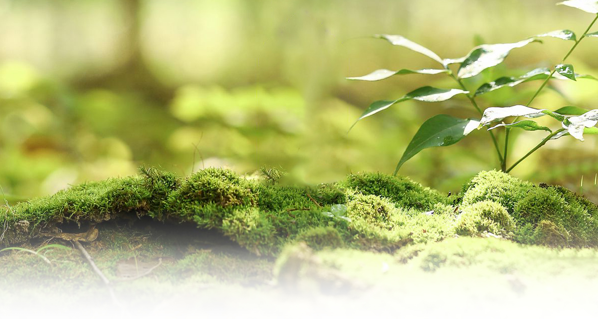شرکت مواد غذایی Hangzhou Tianci ، Ltd.