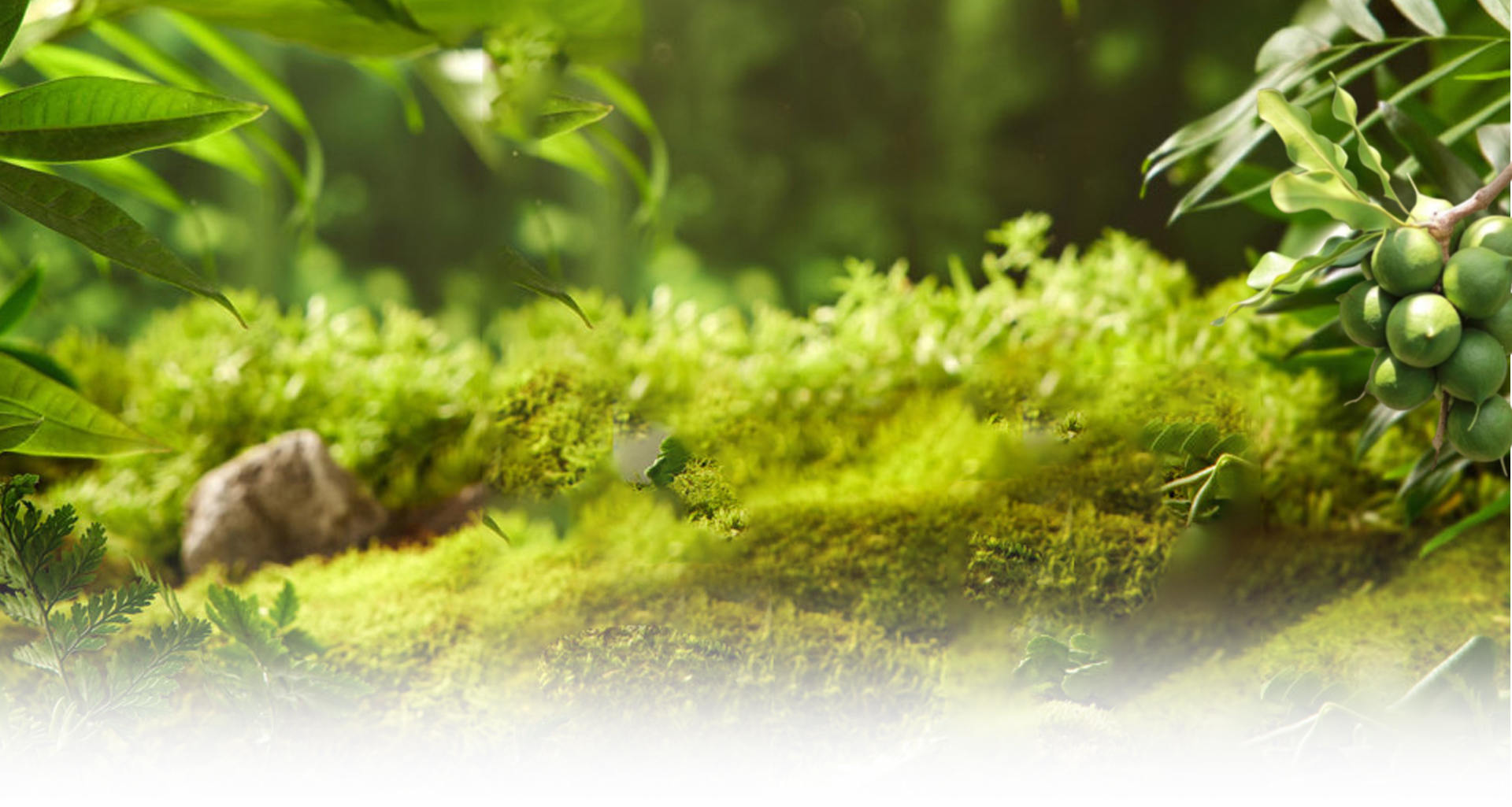 شرکت مواد غذایی Hangzhou Tianci ، Ltd.